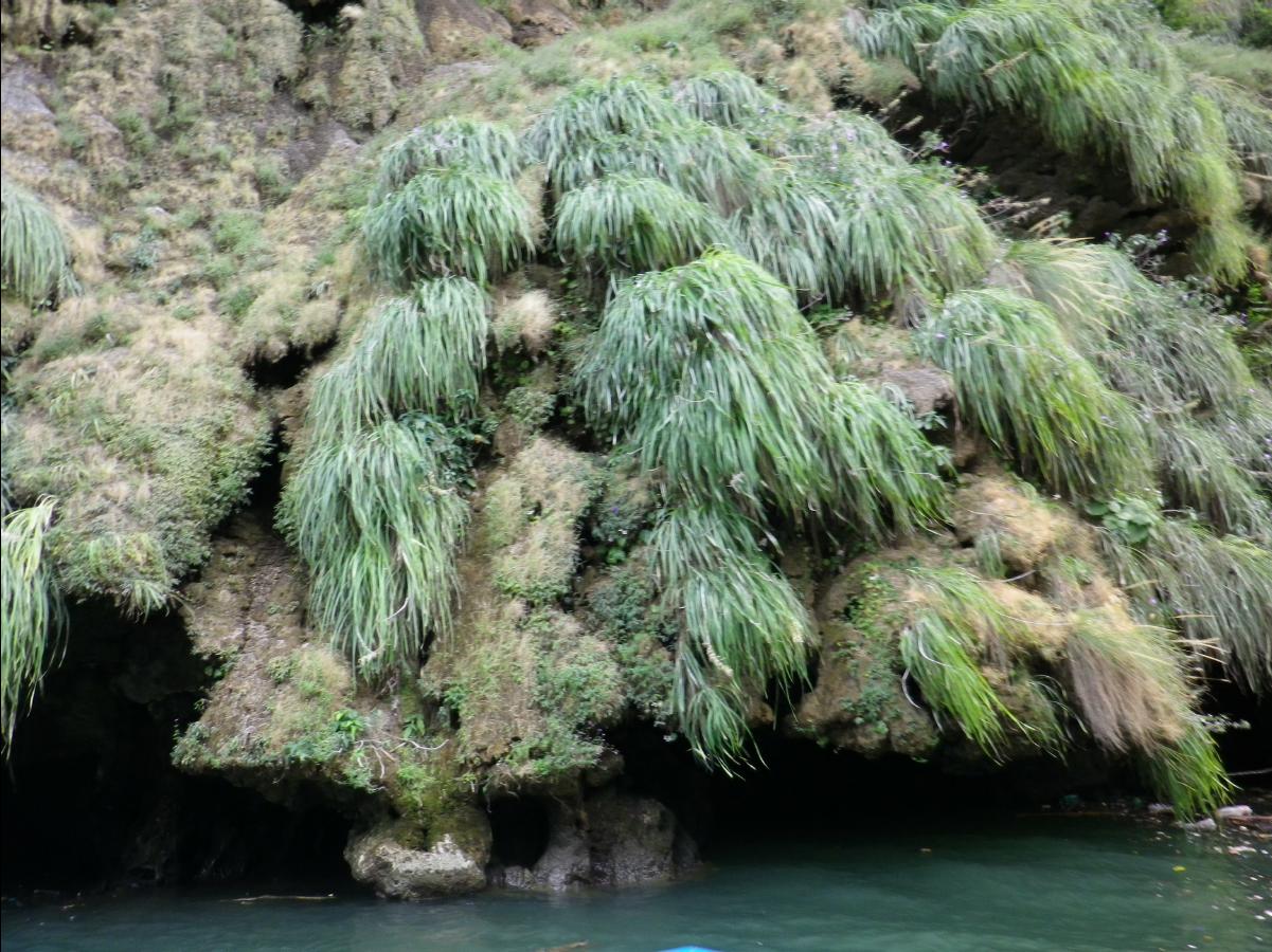 Sumidero Canyon near Tuxtla Gutierrez144